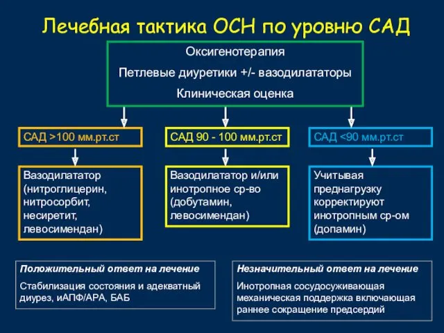 Лечебная тактика ОСН по уровню САД Оксигенотерапия Петлевые диуретики +/- вазодилататоры Клиническая оценка