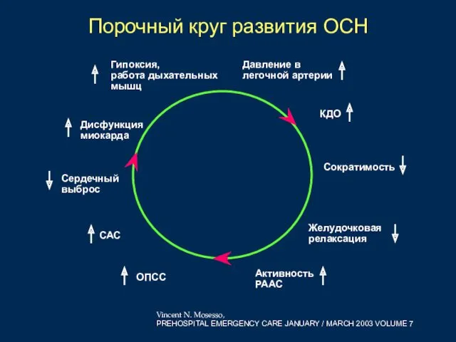 Дисфункция миокарда Гипоксия, работа дыхательных мышц Давление в легочной артерии КДО Сократимость Желудочковая