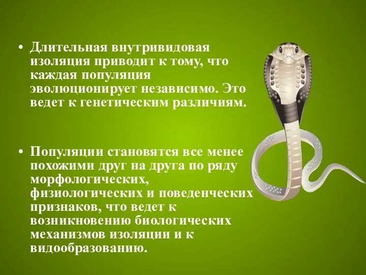 Длительная внутривидовая изоляция приводит к тому, что каждая популяция эволюционирует