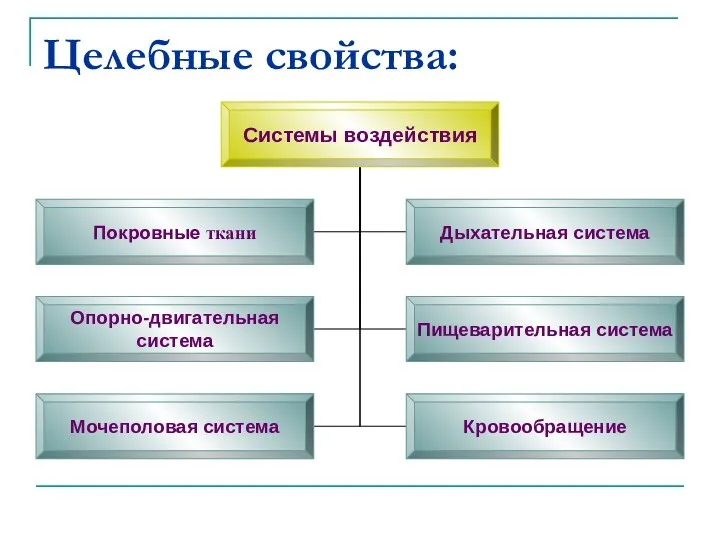 Целебные свойства: