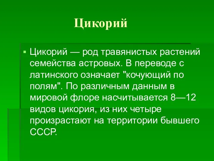 Цикорий Цикорий — род травянистых растений семейства астровых. В переводе с латинского означает