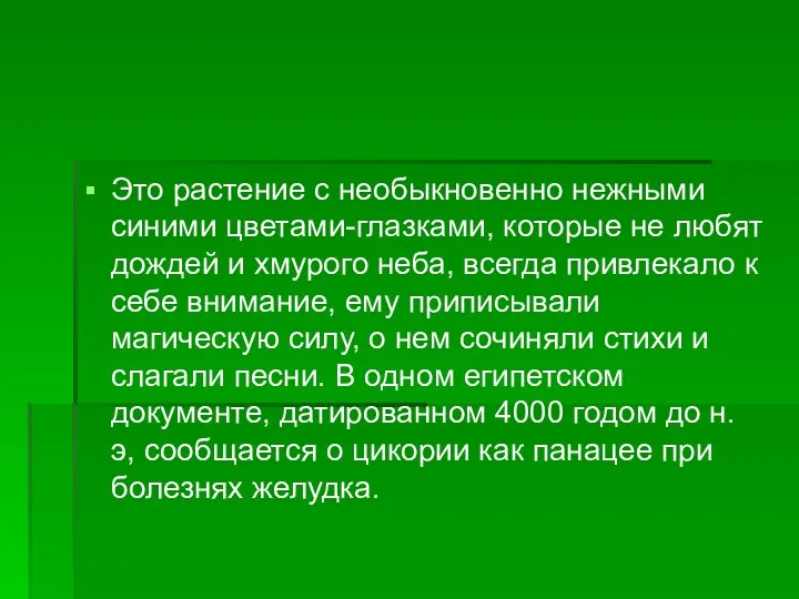 Это растение с необыкновенно нежными синими цветами-глазками, которые не любят