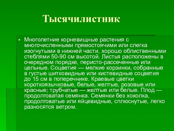 Тысячилистник Многолетние корневищные растения с многочисленными прямостоячими или слегка изогнутыми