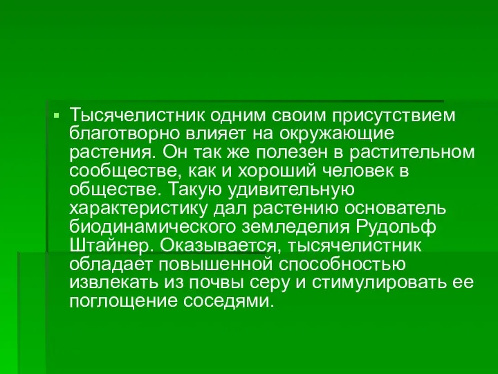 Тысячелистник одним своим присутствием благотворно влияет на окружающие растения. Он