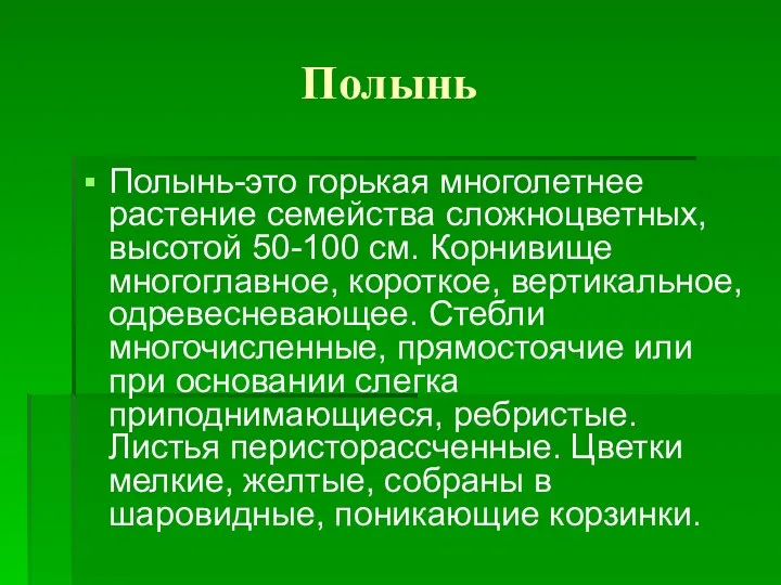 Полынь Полынь-это горькая многолетнее растение семейства сложноцветных, высотой 50-100 см. Корнивище многоглавное, короткое,