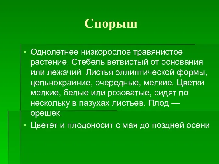 Спорыш Однолетнее низкорослое травянистое растение. Стебель ветвистый от основания или