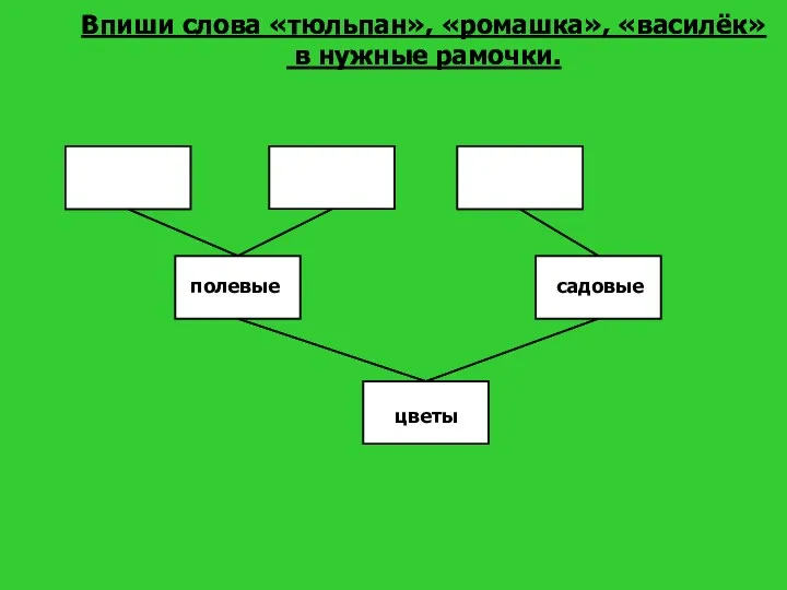 полевые садовые цветы Впиши слова «тюльпан», «ромашка», «василёк» в нужные рамочки.