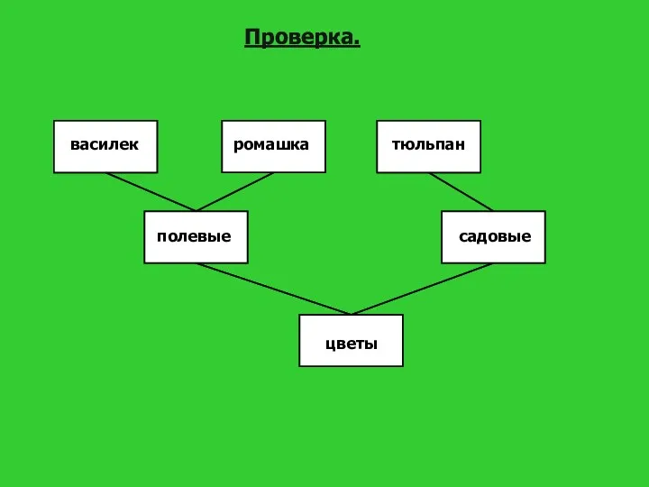 садовые тюльпан василек ромашка полевые цветы Проверка.