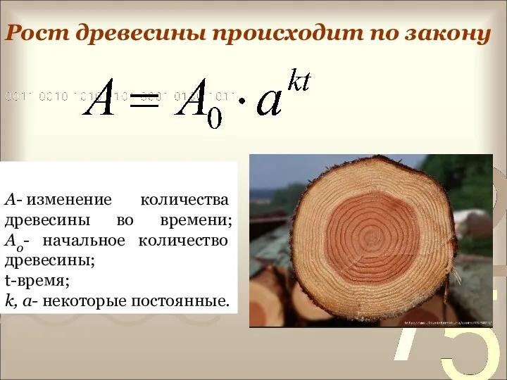 Рост древесины происходит по закону A- изменение количества древесины во времени; A0- начальное