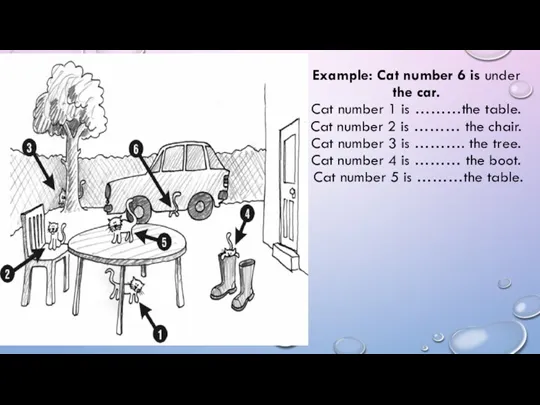 Example: Cat number 6 is under the car. Cat number 1 is ………the