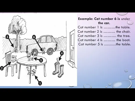 Example: Cat number 6 is under the car. Cat number