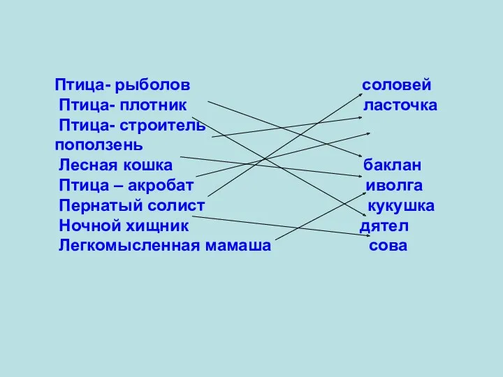 Птица- рыболов соловей Птица- плотник ласточка Птица- строитель поползень Лесная кошка баклан Птица