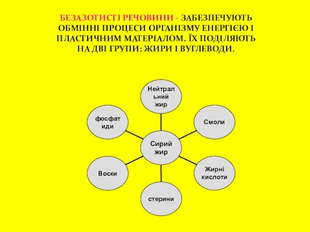 БЕЗАЗОТИСТІ РЕЧОВИНИ - ЗАБЕЗПЕЧУЮТЬ ОБМІННІ ПРОЦЕСИ ОРГАНІЗМУ ЕНЕРГІЄЮ І ПЛАСТИЧНИМ