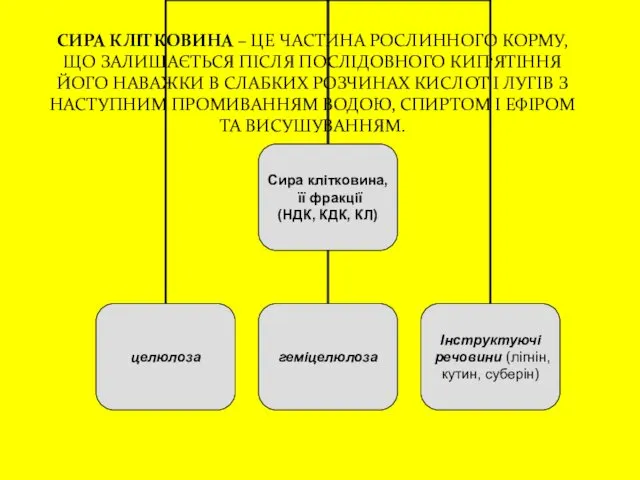 СИРА КЛІТКОВИНА – ЦЕ ЧАСТИНА РОСЛИННОГО КОРМУ, ЩО ЗАЛИШАЄТЬСЯ ПІСЛЯ