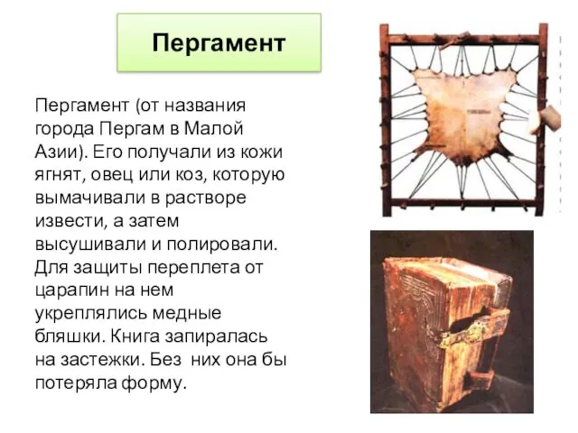 Пергамент (от названия города Пергам в Малой Азии). Его получали