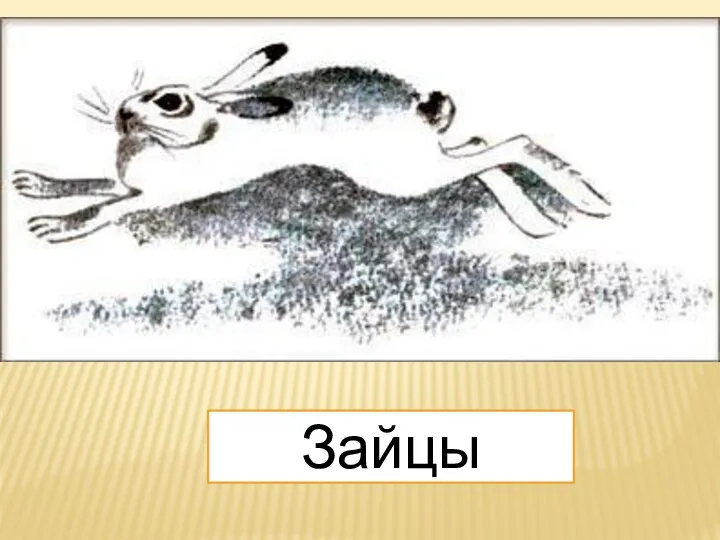 Наутро охотники начинают разбирать заячий след, путаются по двойным следам