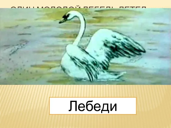 Один молодой лебедь летел позади всех. Силы его ослабели. Он