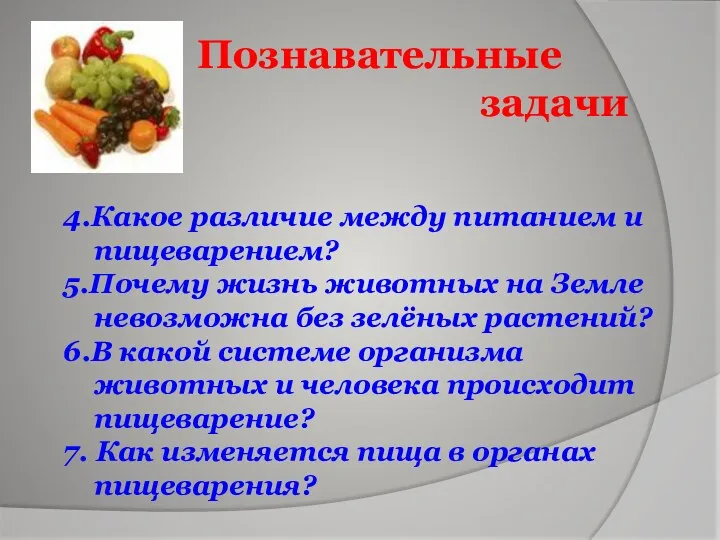 4.Какое различие между питанием и пищеварением? 5.Почему жизнь животных на