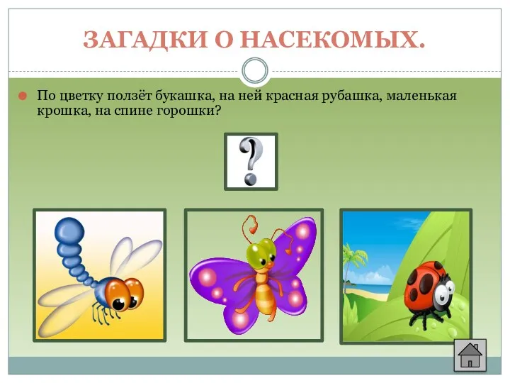 Загадки о насекомых. По цветку ползёт букашка, на ней красная рубашка, маленькая крошка, на спине горошки?