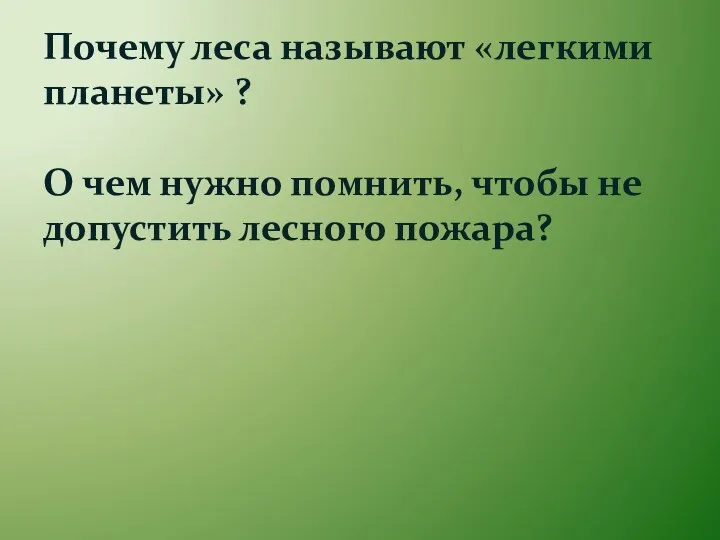 Почему леса называют «легкими планеты» ? О чем нужно помнить, чтобы не допустить лесного пожара?