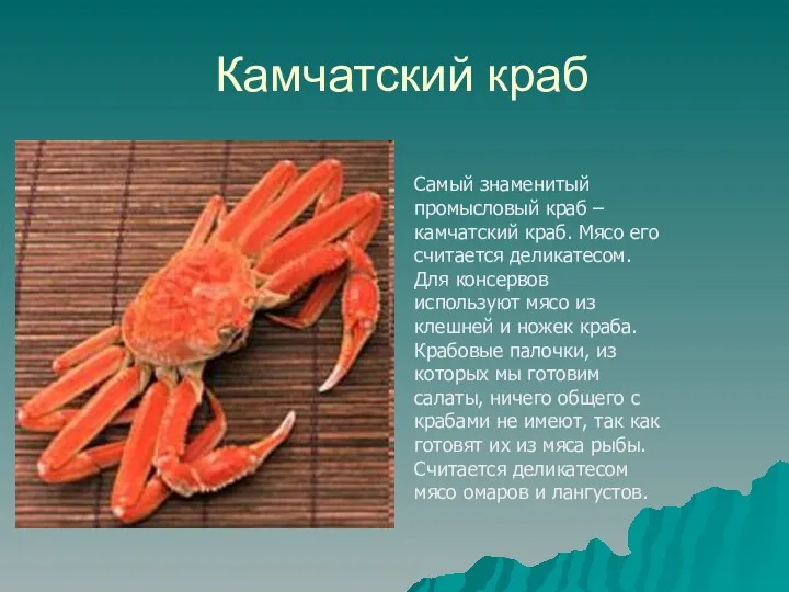 Камчатский краб Самый знаменитый промысловый краб – камчатский краб. Мясо