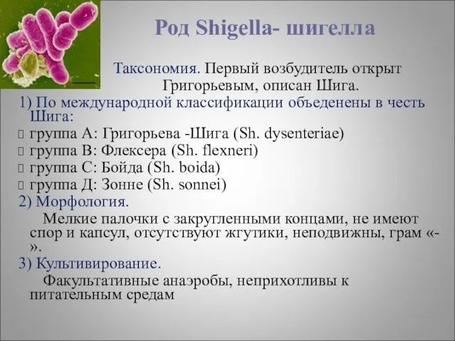 Род Shigella- шигелла Таксономия. Первый возбудитель открыт Григорьевым, описан Шига. 1) По международной
