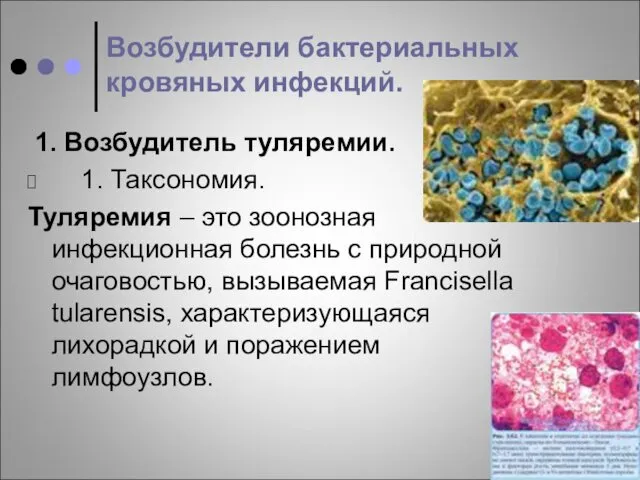 Возбудители бактериальных кровяных инфекций. 1. Возбудитель туляремии. 1. Таксономия. Туляремия – это зоонозная