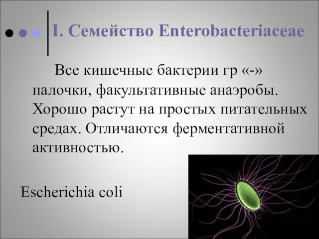 I. Семейство Enterobacteriaceae Все кишечные бактерии гр «-» палочки, факультативные анаэробы. Хорошо растут