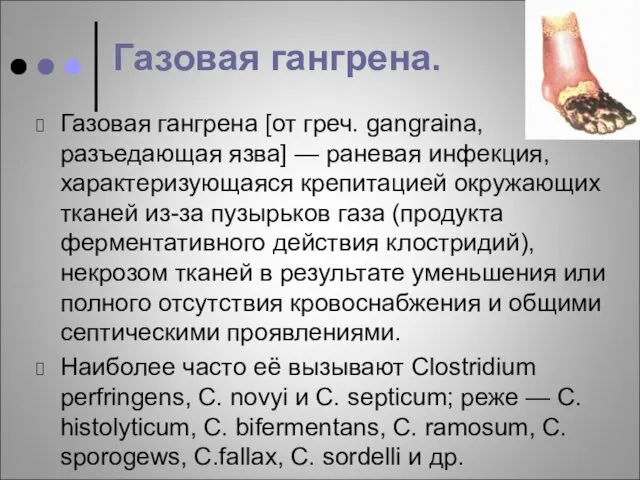 Газовая гангрена. Газовая гангрена [от греч. gangraina, разъедающая язва] — раневая инфекция, характеризующаяся