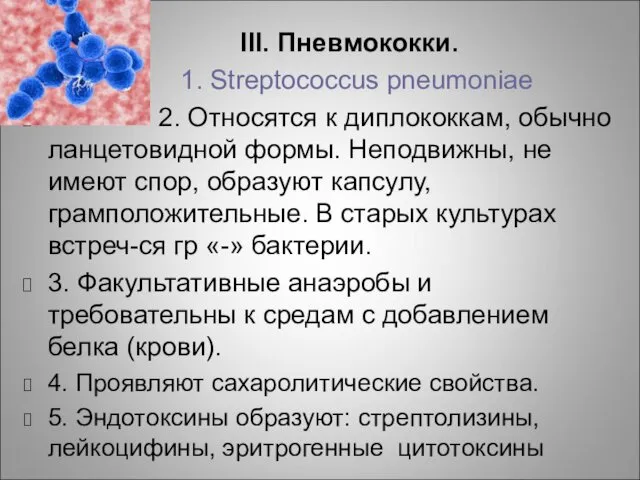 III. Пневмококки. 1. Streptococcus pneumoniae 2. Относятся к диплококкам, обычно ланцетовидной формы. Неподвижны,