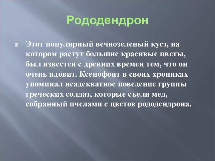 Рододендрон Этот популярный вечнозеленый куст, на котором растут большие красивые