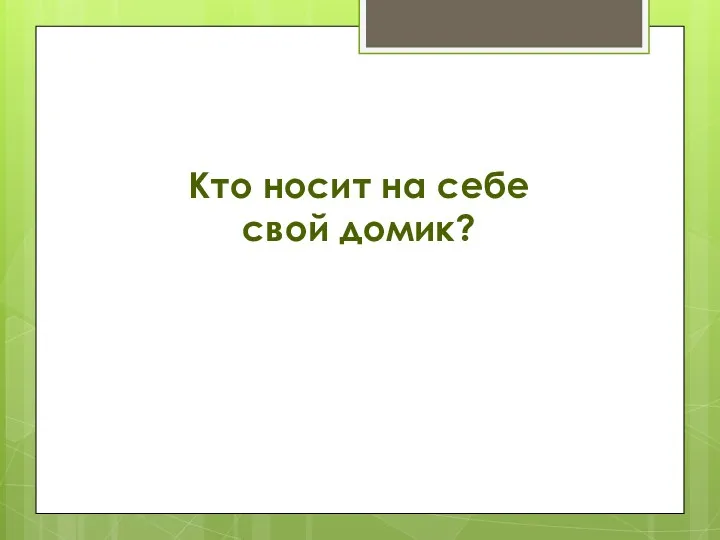 Кто носит на себе свой домик?