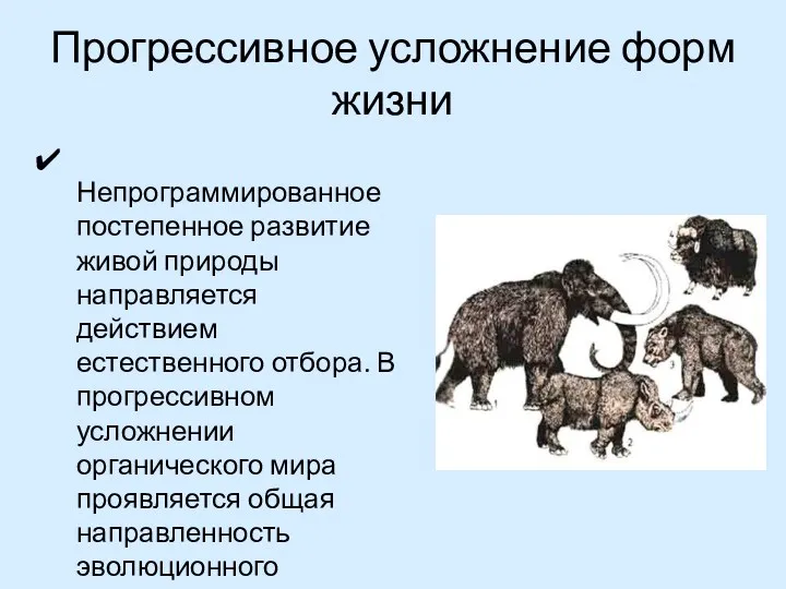 Прогрессивное усложнение форм жизни Непрограммированное постепенное развитие живой природы направляется