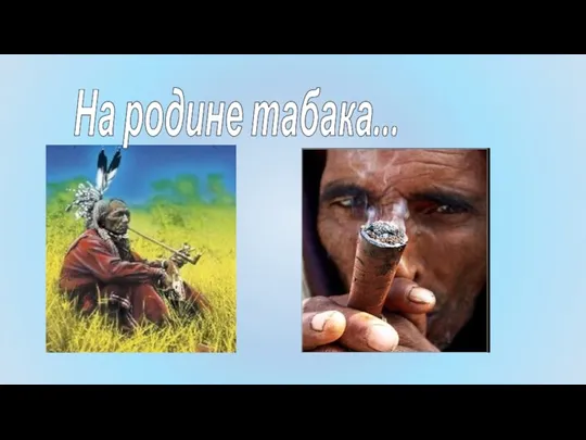 На родине табака...