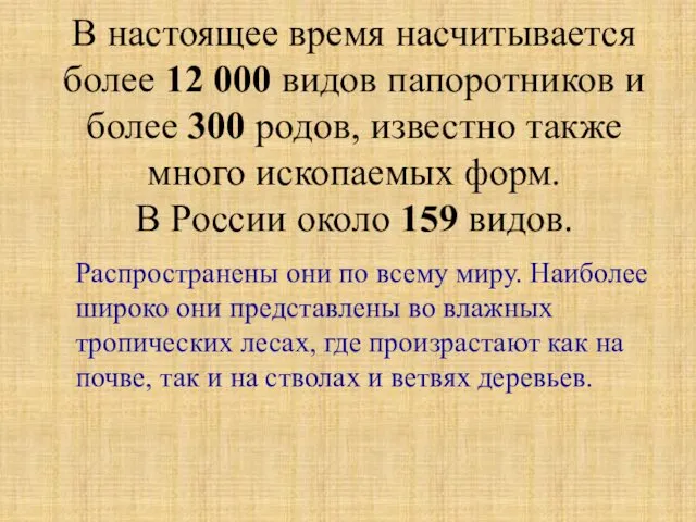 В настоящее время насчитывается более 12 000 видов папоротников и