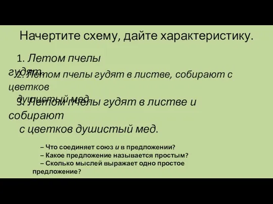 Начертите схему, дайте характеристику. 1. Летом пчелы гудят. 2. Летом