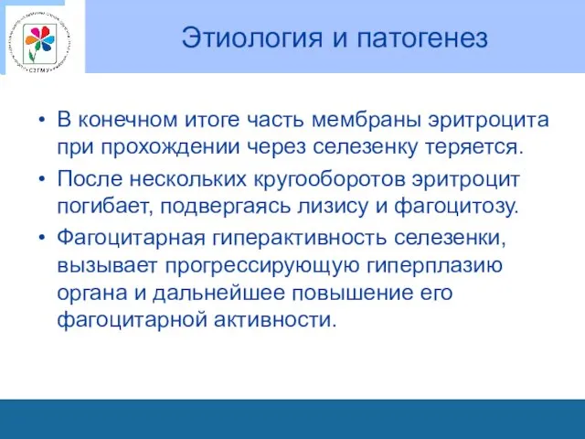 Этиология и патогенез В конечном итоге часть мембраны эритроцита при