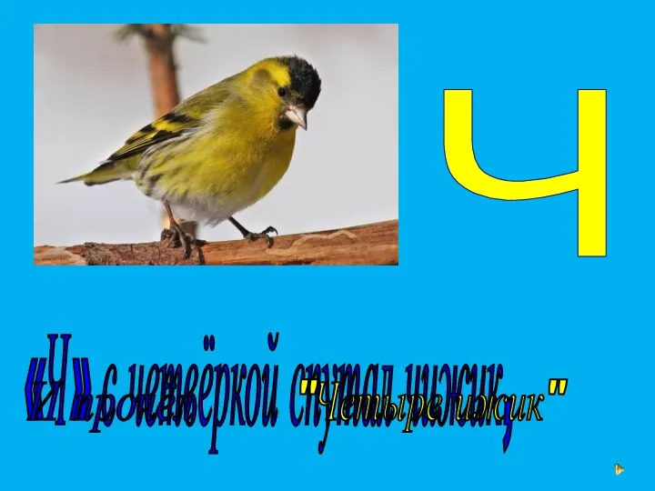 Ч «Ч» с четвёркой спутал чижик, "Четыре ижик" И прочёл