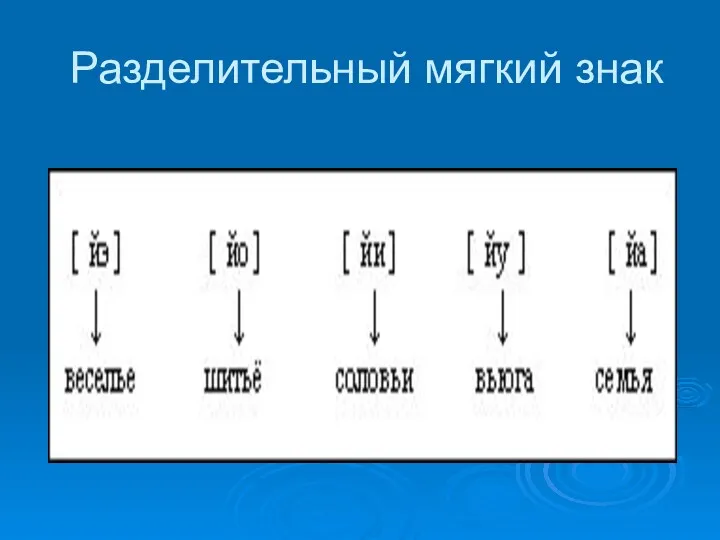 Разделительный мягкий знак