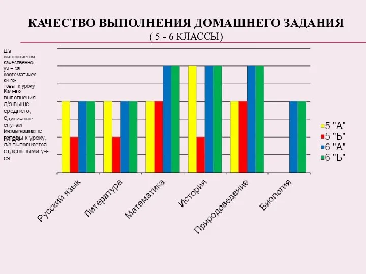 Качество выполнения домашнего задания ( 5 - 6 классы)