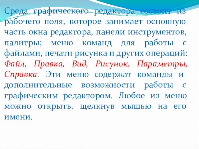 Среда графического редактора состоит из рабочего поля, которое занимает основную