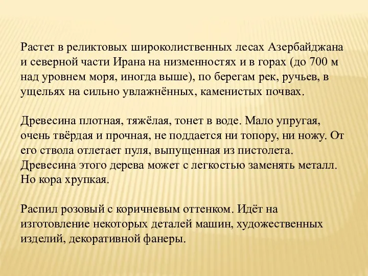 Растет в реликтовых широколиственных лесах Азербайджана и северной части Ирана