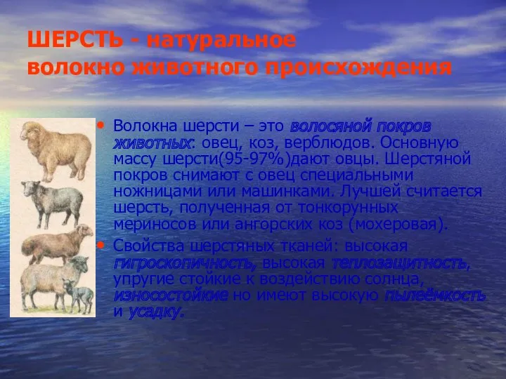 ШЕРСТЬ - натуральное волокно животного происхождения Волокна шерсти – это