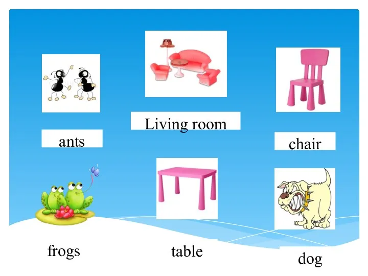 dog frogs table chair Living room ants