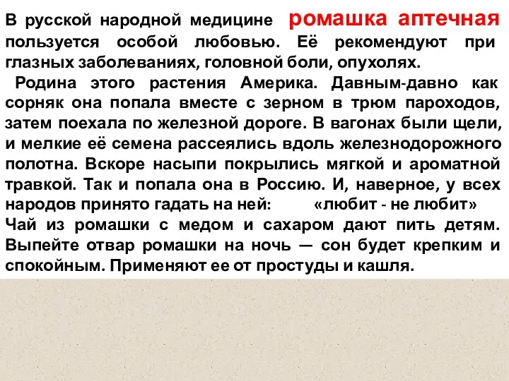 В русской народной медицине ромашка аптечная пользуется особой любовью. Её