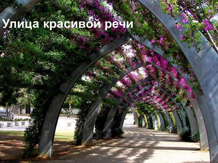 Улица красивой речи