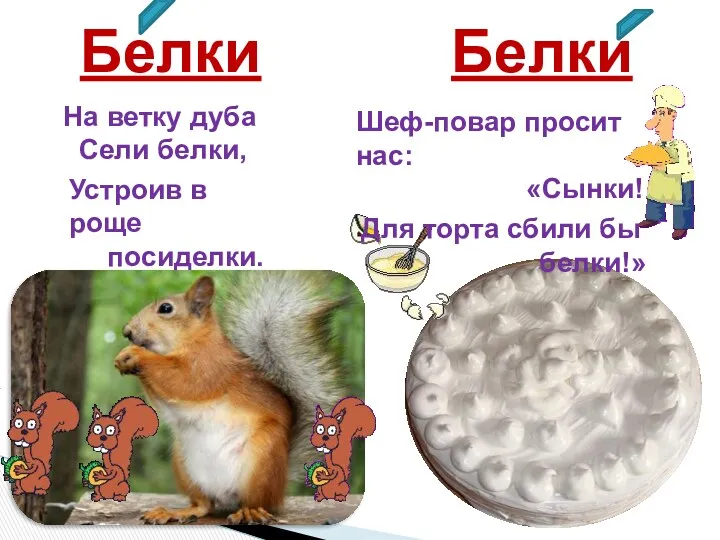 Белки Белки На ветку дуба Сели белки, Устроив в роще