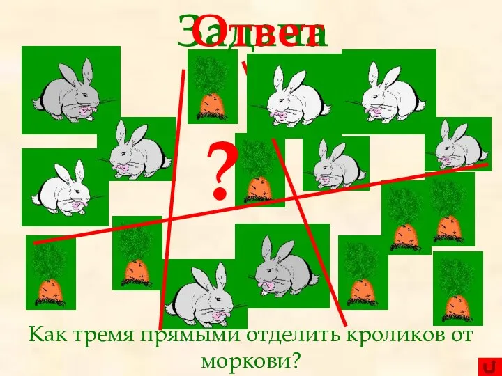 Как тремя прямыми отделить кроликов от моркови? Задача ? Ответ