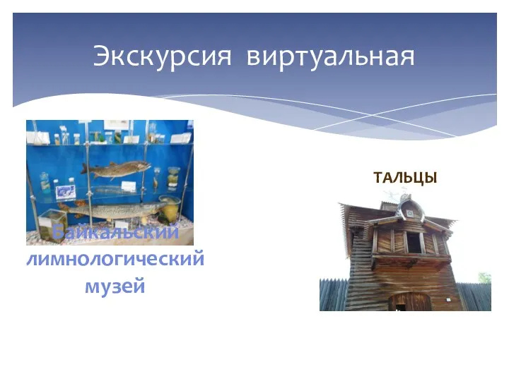 Экскурсия виртуальная Байкальский лимнологический музей ТАЛЬЦЫ
