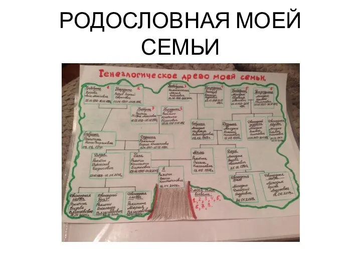 РОДОСЛОВНАЯ МОЕЙ СЕМЬИ